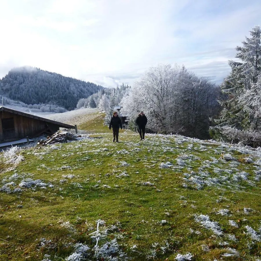 Les Sapins Blancs Διαμέρισμα Vacheresse
