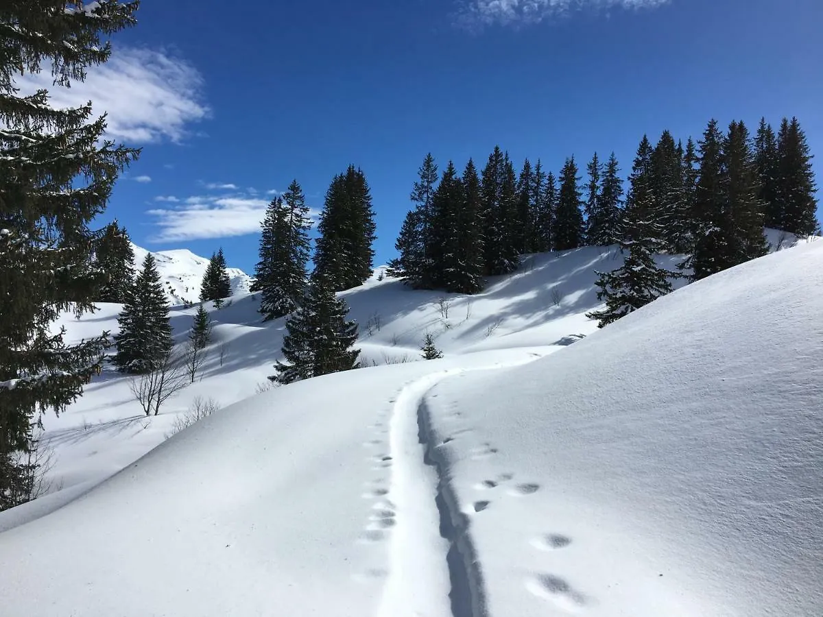Les Sapins Blancs Διαμέρισμα Vacheresse
